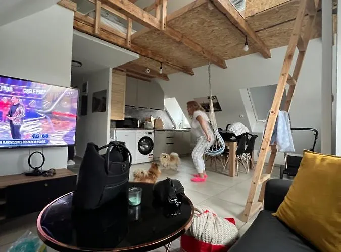 Nowe Blisko Harcowki